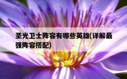 圣光衛士陣容有哪些英雄，詳解最強陣容搭配