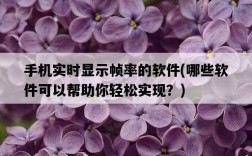 手機實時顯示幀率的軟件，哪些軟件可以幫助你輕松實現？