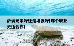 薩滿元素好還是增強好，哪個職業更適合你