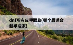 dnf所有皮甲職業，哪個最適合新手玩家