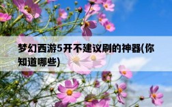夢幻西游5開不建議刷的神器，你知道哪些