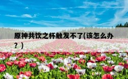 原神共飲之杯觸發不了，該怎么辦？