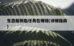 生態船鑰匙任務在哪接，詳細指南