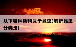 以下哪種動物屬于昆蟲，解析昆蟲分類法