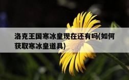 洛克王國寒冰皇現在還有嗎，如何獲取寒冰皇道具
