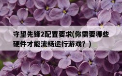 守望先鋒2配置要求，你需要哪些硬件才能流暢運行游戲？
