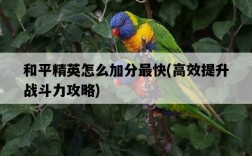 和平精英怎么加分最快，高效提升戰斗力攻略