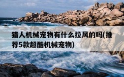 獵人機械寵物有什么拉風的嗎，推薦5款超酷機械寵物
