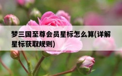 夢三國至尊會員星標怎么算，詳解星標獲取規則