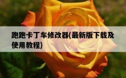跑跑卡丁車修改器，最新版下載及使用教程