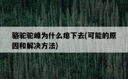 駱駝駝峰為什么癟下去，可能的原因和解決方法