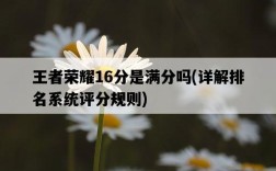 王者榮耀16分是滿分嗎，詳解排名系統評分規則