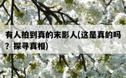 有人拍到真的末影人，這是真的嗎？探尋真相