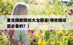 重生細胞圖紙大全圖鑒，哪些圖紙是必備的？