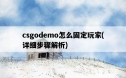 csgodemo怎么固定玩家，詳細步驟解析