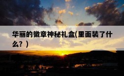 華麗的徽章神秘禮盒，里面裝了什么？