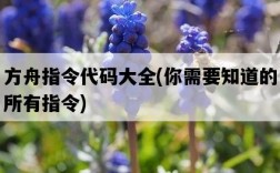 方舟指令代碼大全，你需要知道的所有指令