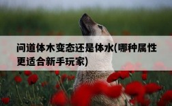 問道體木變態還是體水，哪種屬性更適合新手玩家