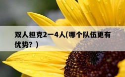 雙人擔克2一4人，哪個隊伍更有優勢？