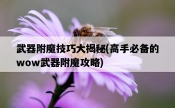 武器附魔技巧大揭秘，高手必備的wow武器附魔攻略