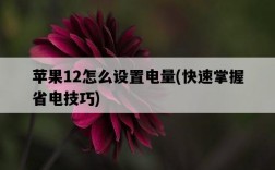 蘋果12怎么設置電量，快速掌握省電技巧