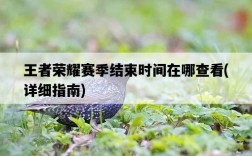 王者榮耀賽季結束時間在哪查看，詳細指南