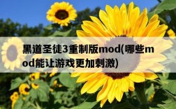黑道圣徒3重制版mod，哪些mod能讓游戲更加刺激