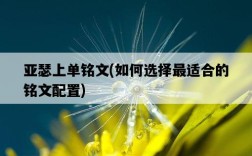 亞瑟上單銘文，如何選擇最適合的銘文配置
