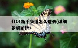 ff14新手頻道怎么進去，詳細步驟解析