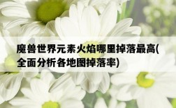 魔獸世界元素火焰哪里掉落最高，全面分析各地圖掉落率