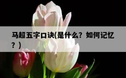 馬超五字口訣，是什么？如何記憶？