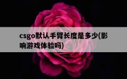 csgo默認手臂長度是多少，影響游戲體驗嗎