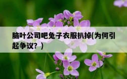 腦葉公司吧兔子衣服扒掉,為何引起爭議?