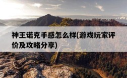 神王諾克手感怎么樣，游戲玩家評價及攻略分享