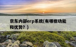 京東內部erp系統，有哪些功能和優勢？