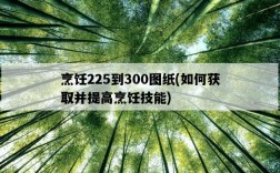 烹飪225到300圖紙，如何獲取并提高烹飪技能