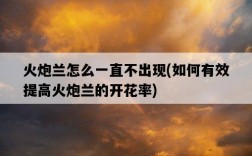 火炮蘭怎么一直不出現，如何有效提高火炮蘭的開花率