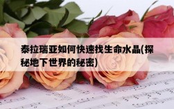 泰拉瑞亞如何快速找生命水晶，探秘地下世界的秘密