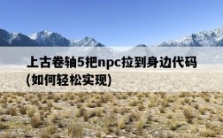 上古卷軸5把npc拉到身邊代碼，如何輕松實現