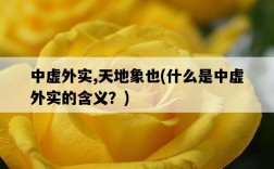 中虛外實,天地象也，什么是中虛外實的含義？