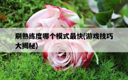 刷熟練度哪個模式最快，游戲技巧大揭秘