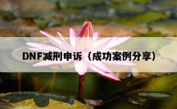 DNF減刑申訴（成功案例分享）