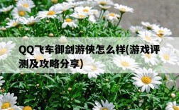 QQ飛車御劍游俠怎么樣，游戲評測及攻略分享