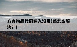 方舟物品代碼輸入沒用，該怎么解決？