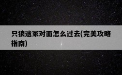 只狼遺冢對面怎么過去，完美攻略指南
