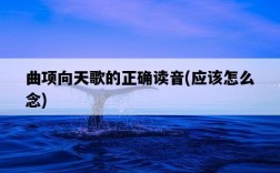 曲項向天歌的正確讀音，應該怎么念