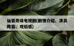 仙狐奇緣電視劇，劇情介紹、演員陣容、觀后感