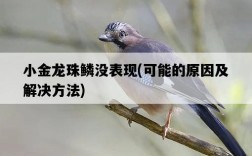 小金龍珠鱗沒表現，可能的原因及解決方法