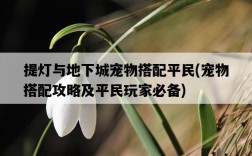 提燈與地下城寵物搭配平民，寵物搭配攻略及平民玩家必備