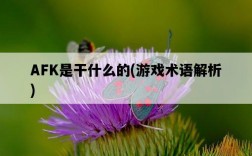 AFK是干什么的，游戲術語解析